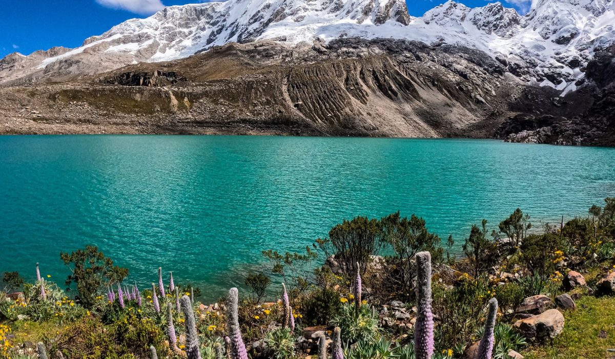 xr:d:DAFwnm-ZCUA:76,j:8915295575805044734,t:24022815